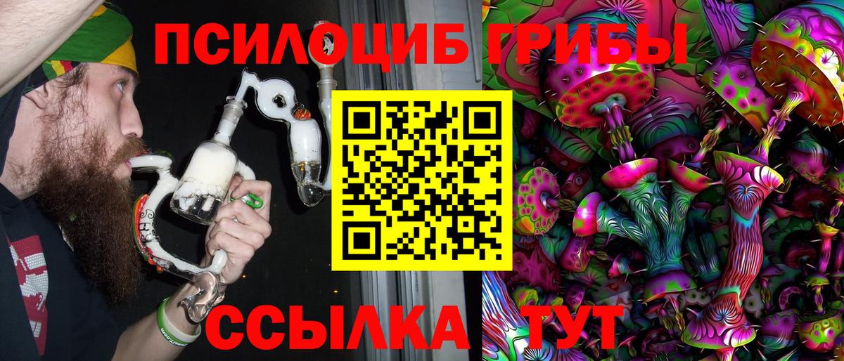 Канаш  Псилоцибиновые грибы Cubensis  Вход с VPN 